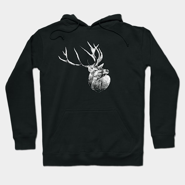 Red deer portrait Hoodie by Guardi